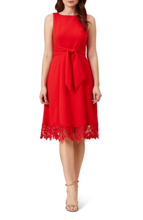 Lace Hem Crepe Fit & Flare Dress in Cherry Bliss at Nordstrom